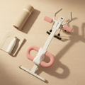 Core Flex Ab Shaper - Pinterest Flat Lay